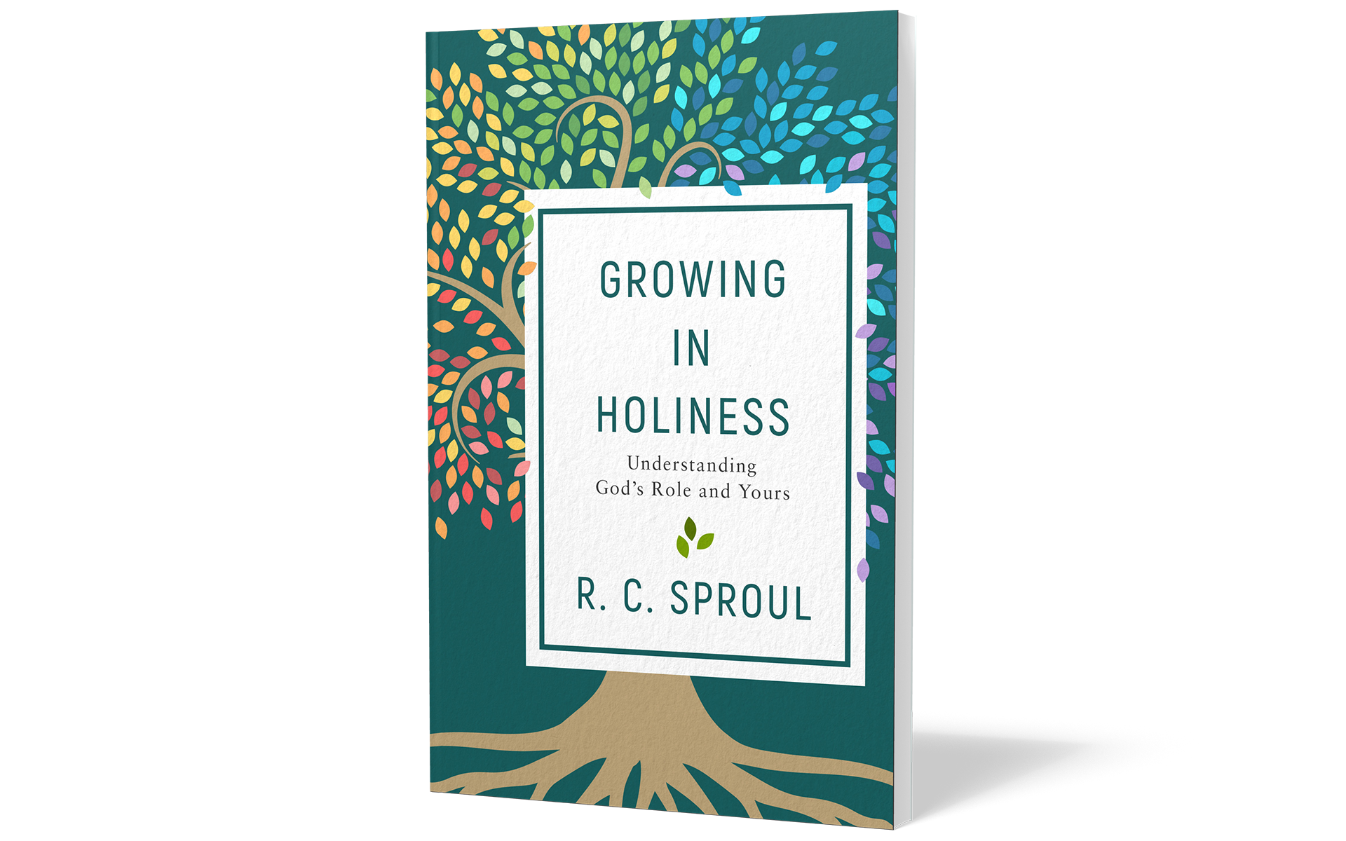 Growing In Holiness